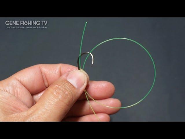 Amazingly Best 3 Fishing Knots to Tie Hooks