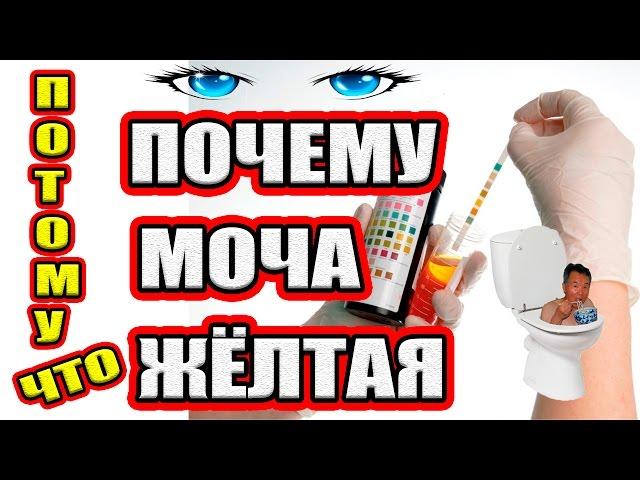 Почему моча жёлтая? Отчего зависит цвет мочи?