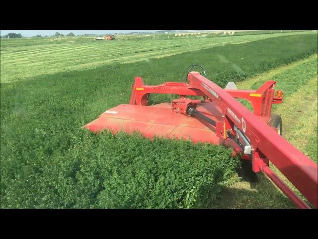 First cut hay 2018