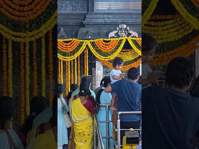 Mini vlog #minivlog #trendingvlogs  #viralvlog #templevlogs #travelingvlog #kannadavlog #kannadati