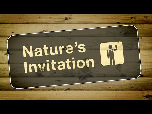 "Nature's Invitation" Trailer | A Documentary by Brandy Yanchyk