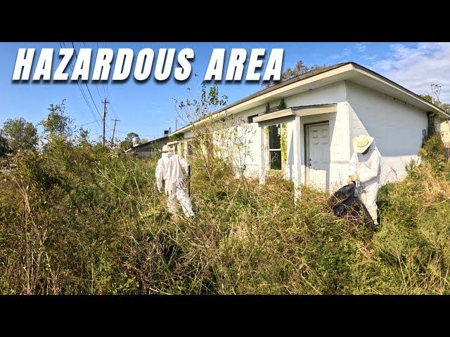 HAZARDOUS environment in DESPERATE need of a MAKEOVER… crazy results