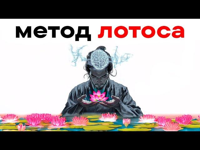 Как заставить свой мозг делать трудные вещи (Метод Лотоса)