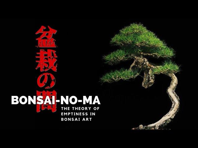 BONSAI-NO-MA | The Theory of Emptiness in Bonsai Art, Part One