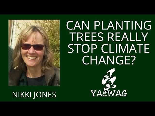 Can planting trees really stop Climate Change? by Nikki Jones