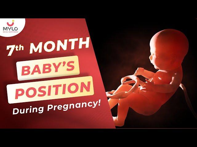 28 Weeks Pregnant Baby Position | 7th Month Baby Position In Womb | Mylo Family