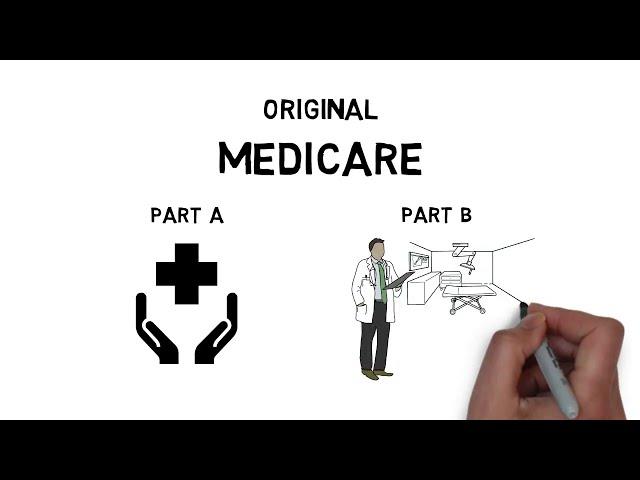 Essential Guide: Picking Medicare Coverage Upon Retirement