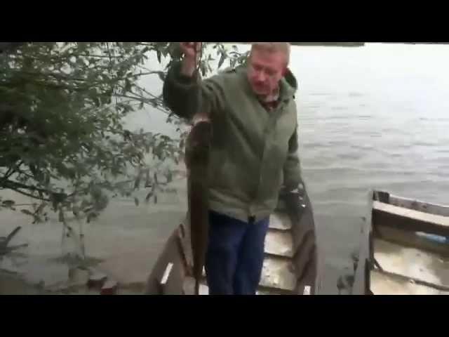 Ловля щуки на кружки