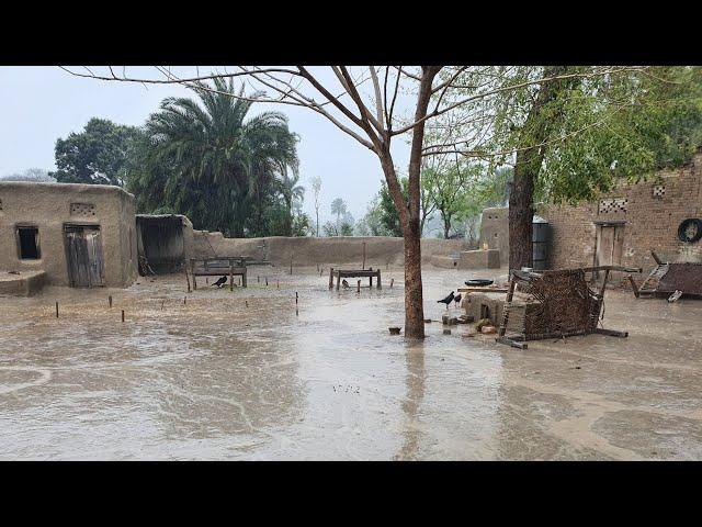 Rain In Punjab | Village Life | Rainy Season In Pakistan