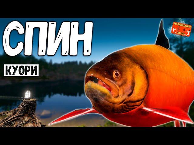  РР4/ рыбалка для души, ловим как универсал, общаемся 26.05.2025