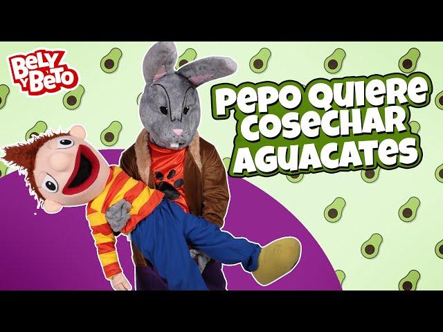 Pepo Quiere Cosechar Aguacates - Bely y Beto