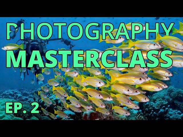 Ep. 2 - Alex Mustard's Masterclass in Underwater Photography