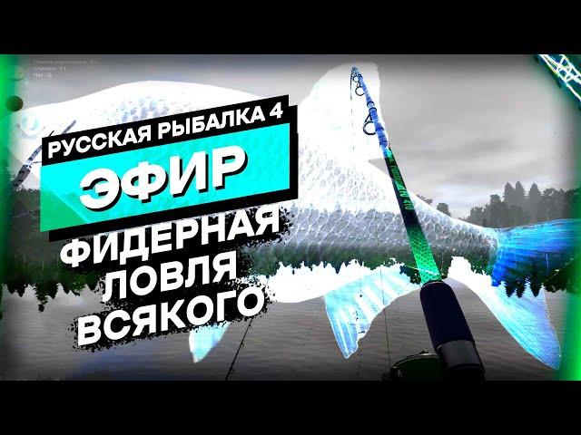 Фидерная ловля (Окунь, Тарань) - Русская Рыбалка 4