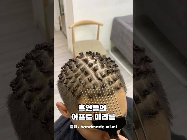 아무도 몰랐던 흑인 머리의 비밀