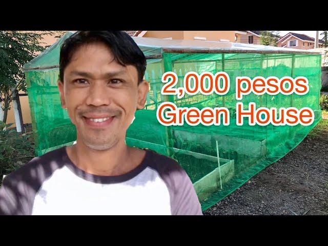 Pinoy Improvise Green House na Pang low- budget pero Termite Proof.