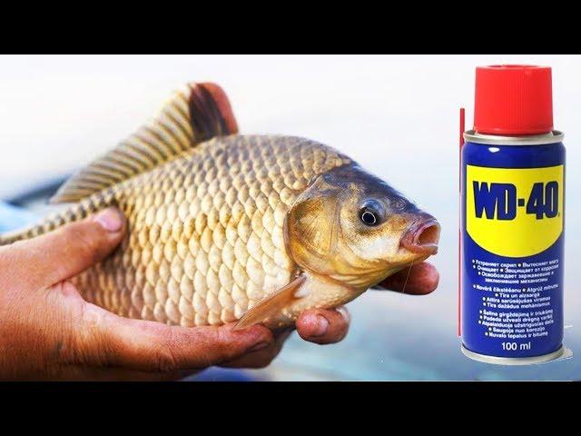 IT really catches! A carp on WD-40 Here is a NIBBLE! Fishing on the float rod carp semolina