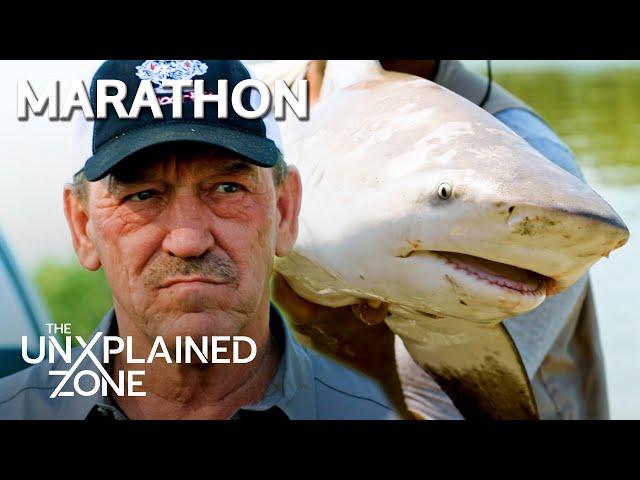 2 CREEPY CREATURES LURK IN DARK WATERS *Marathon* | Swamp Mysteries | The UnXplained Zone