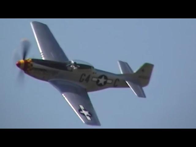 P-51D Mustang | Fast Sounding Flybys