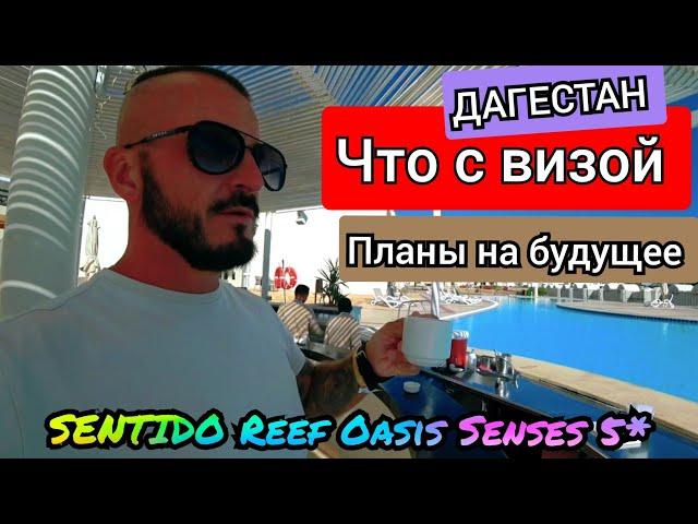 Египет  Что дальше?SENTIDO Reef Oasis Senses 5* Шарм Эль Шейх хорошее отношение