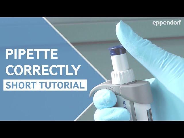 How to pipette correctly – a short step-by-step introduction into proper pipetting