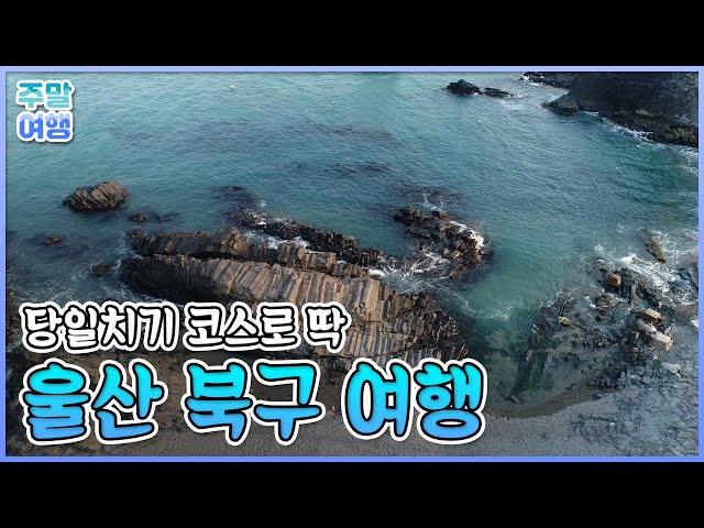 자연과 역사가 공존하는 울산 북구 한 바퀴 [테마기행 길]