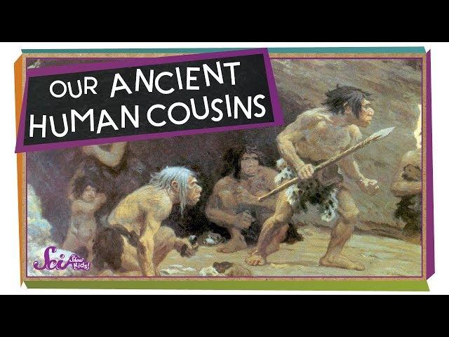 Our Ancient Human Cousins!