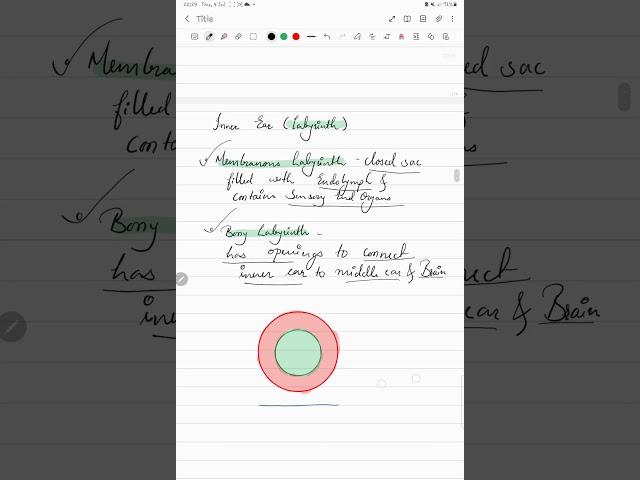 Inner Ear part 1 #fmge #medicalstudent #anatomy