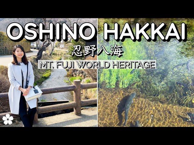 Oshino Hakkai  Mt. Fuji World Heritage Site with Eight *Super* Clear Ponds | Mt. Fuji Series 2/4