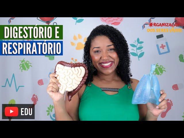 Aula Sistema Digestório e Respiratório Ep. 5