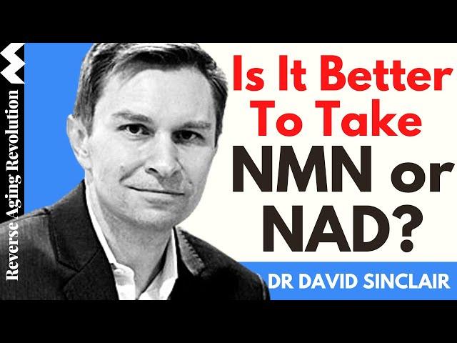 IS IT BETTER TO TAKE NMN OR NAD? | Dr David Sinclair Interview Clips