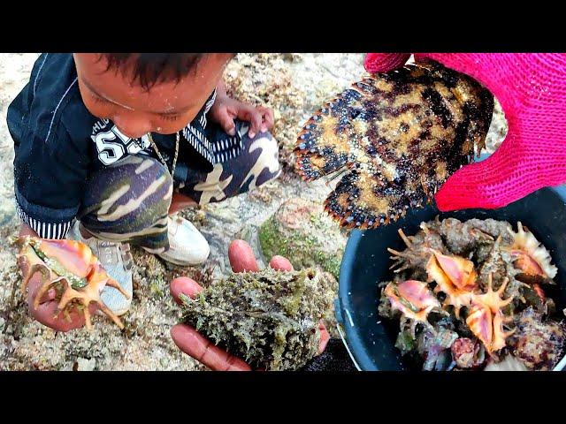 Mencari aneka Seafood bersama Bocil, kami menemukan Gurita, Kepiting langkah dan banyak kerang