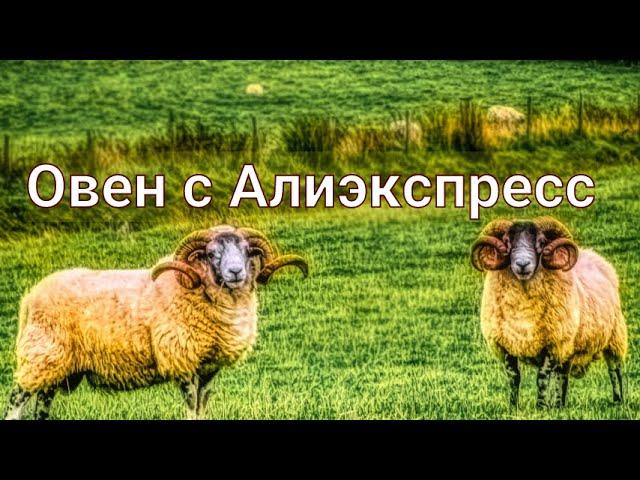 Набор для вышивания бисером с Алиэкспресс. Брелок "Овен". Обзор  + готовая работа.