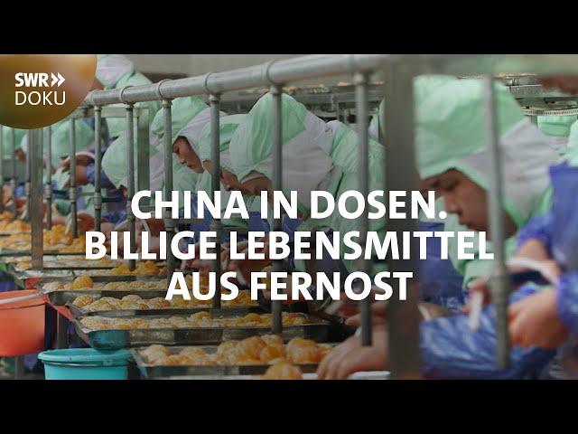 Billige Lebensmittel aus Fernost - China in Dosen | SWR Doku