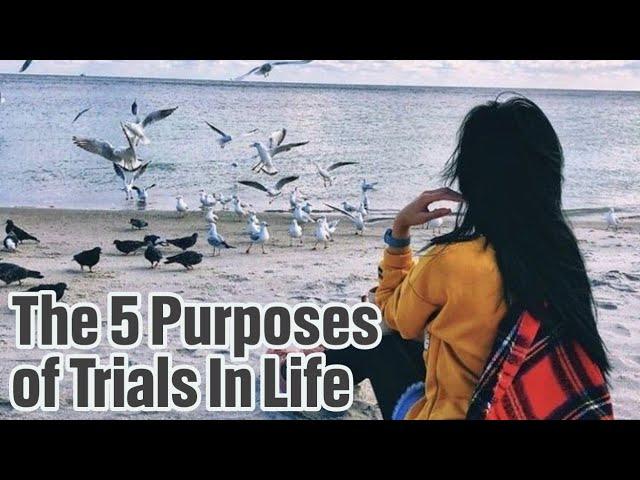 THE 5 PURPOSES OF TRIALS IN LIFE