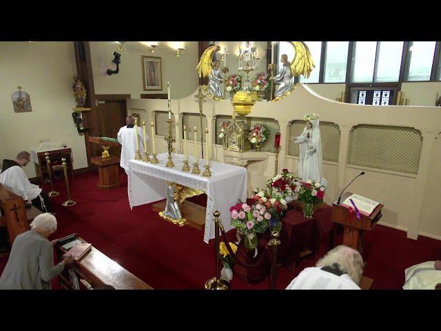 Daily Readings and Homily - 2025-05-31 - Fr. John Paul