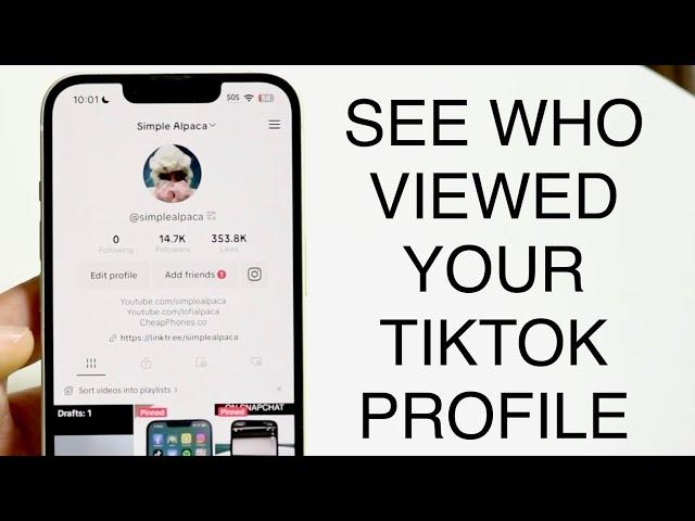 How To See Who Viewed Your TikTok Video! (2023)