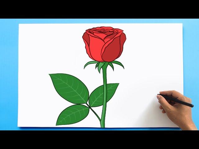 How to Draw a Rose step by step Easy | Как нарисовать цветок розы