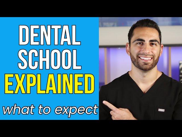 4 Years of Dental School Explained