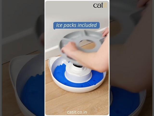 Catit Pixi 6 Meal Feeder ️ #CatitIndia #catitindia #catshorts #vet #sweatshirt #catit #catfeeder