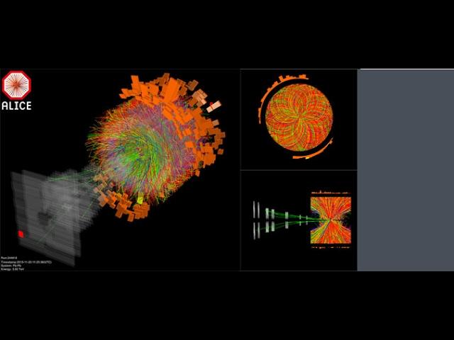 Aula Rostagni live - Colloquium: Studying the Quark Gluon Plasma at the LHC