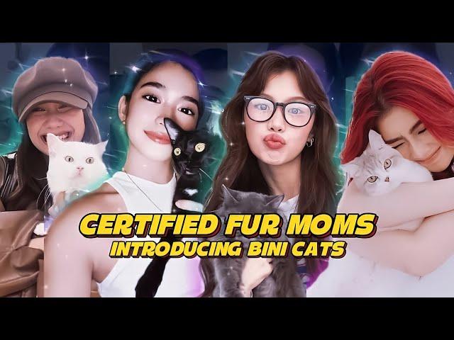 Introducing BINI Cats: A True Companion | Storytelling | PPOP Insider