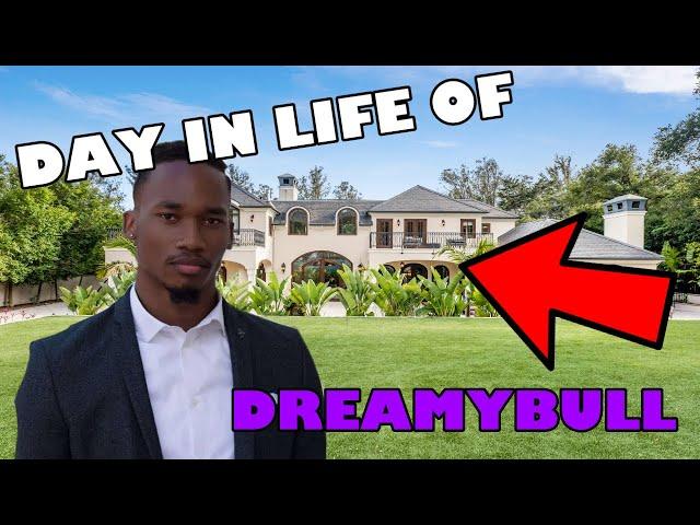 The Day In Life of DreamyBull
