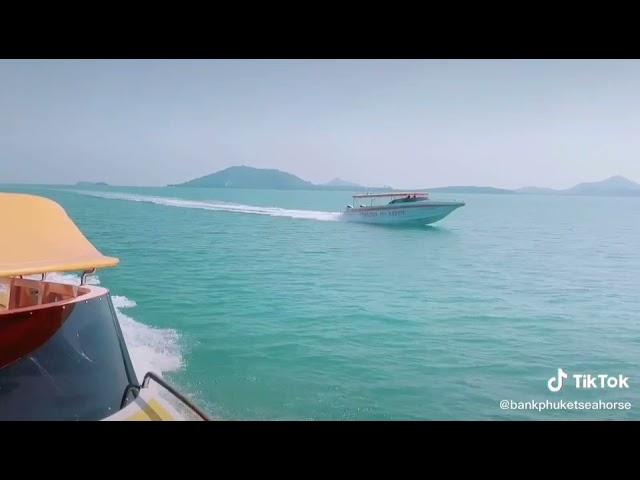 Speedboat Phuket ️+66648198081 #phuketseahorsemarine #เรือสปีดโบ๊ทภูเก็ต #speedboat #rentspeedboat