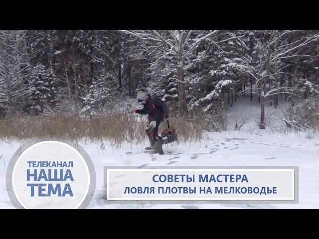 Советы мастера. Дмитрий Елисеев. Ловля плотвы на мелководье