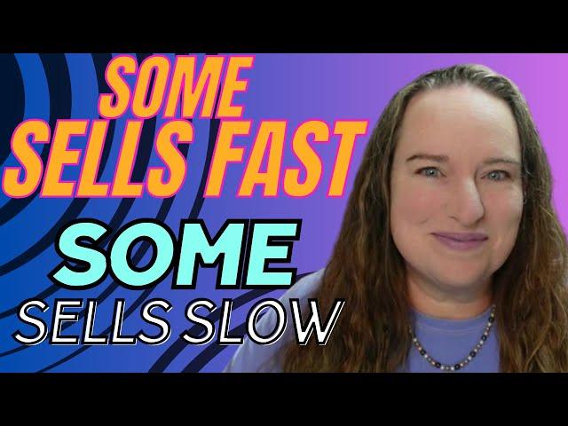 Fast Sellers vs. Slow Movers: How Both Can Be Super Profitable on eBay!