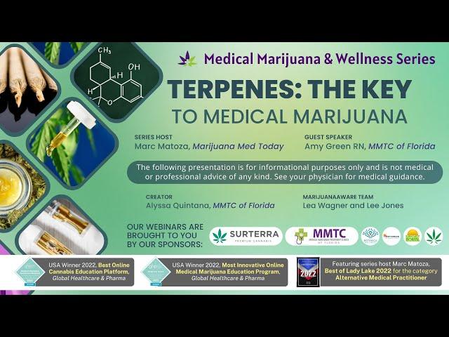 Terpenes: The Key to Medical Marijuana - May 3rd, 2023