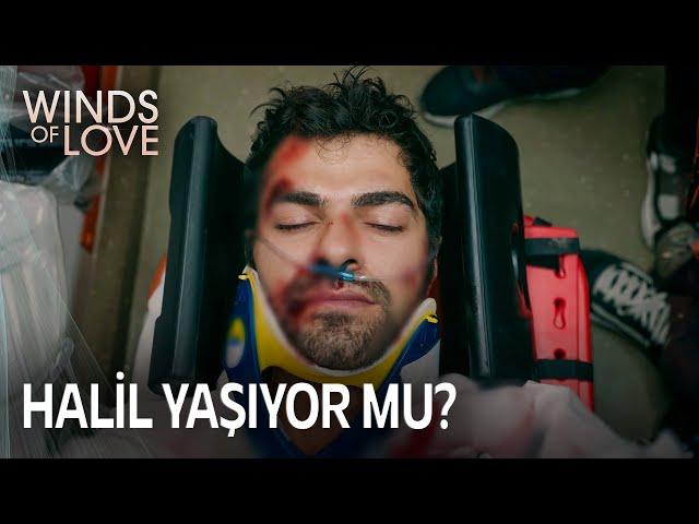 The news that devastated Zeynep | Winds of Love Episode 116 (MULTI SUB)