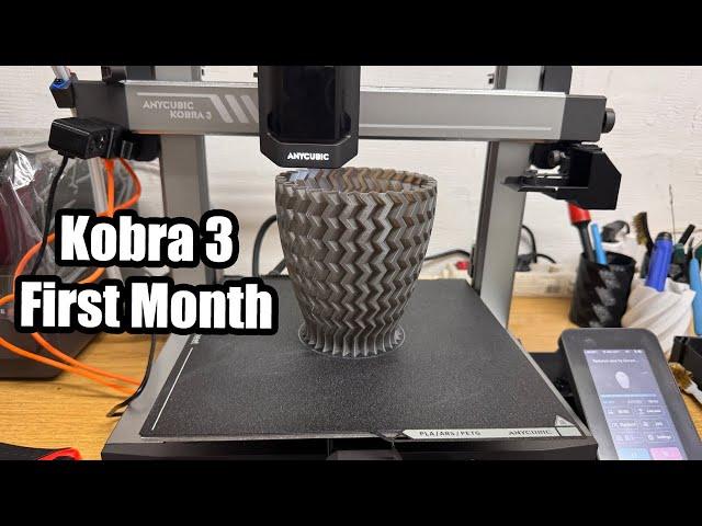 Anycubic Kobra 3 Different Beast To Tame