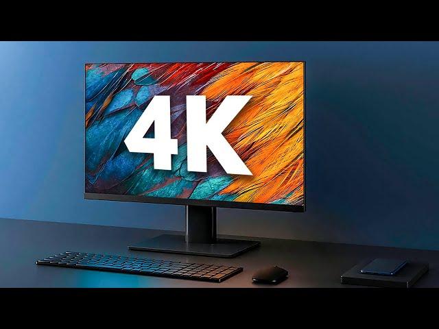 Top 10 4k Monitor for Designers in 2024