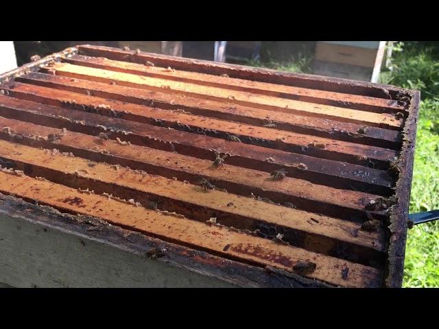 Champlain Valley Apiaries - Harvest 2017